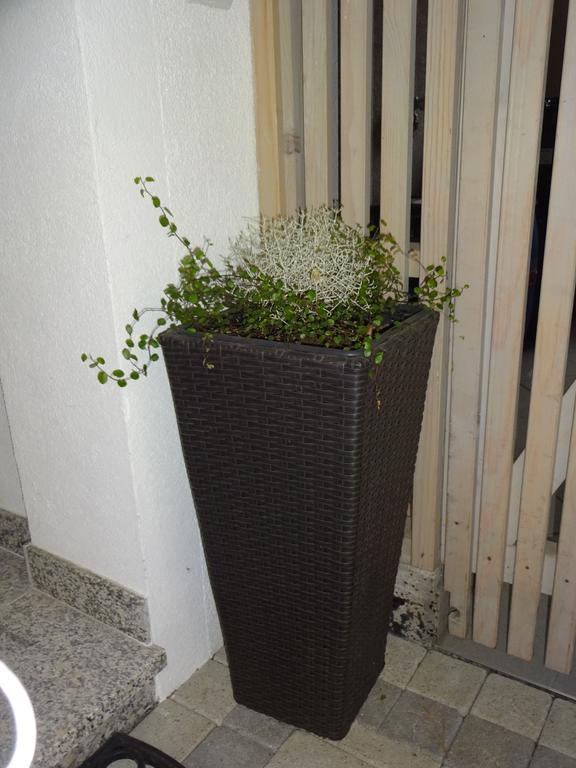 Appartement Alexandra Neukirchen am Grossvenediger Bilik gambar